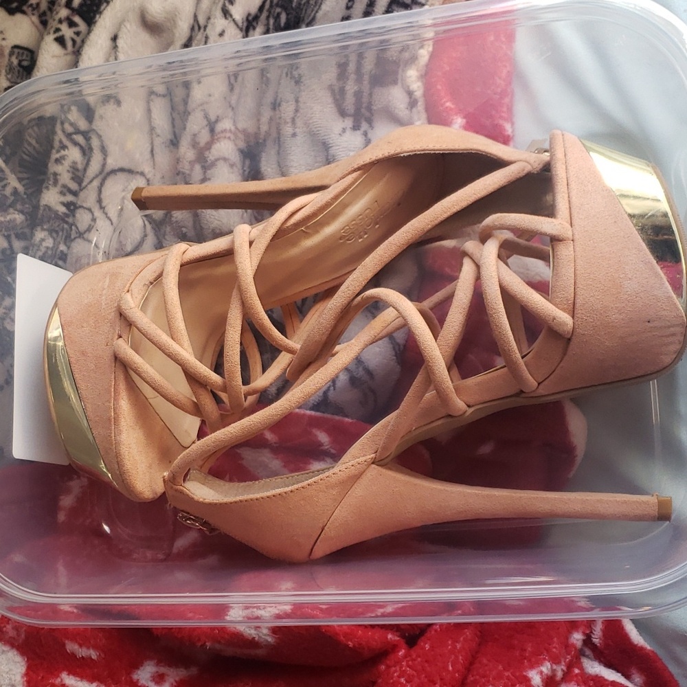 Nude Pink suede heels